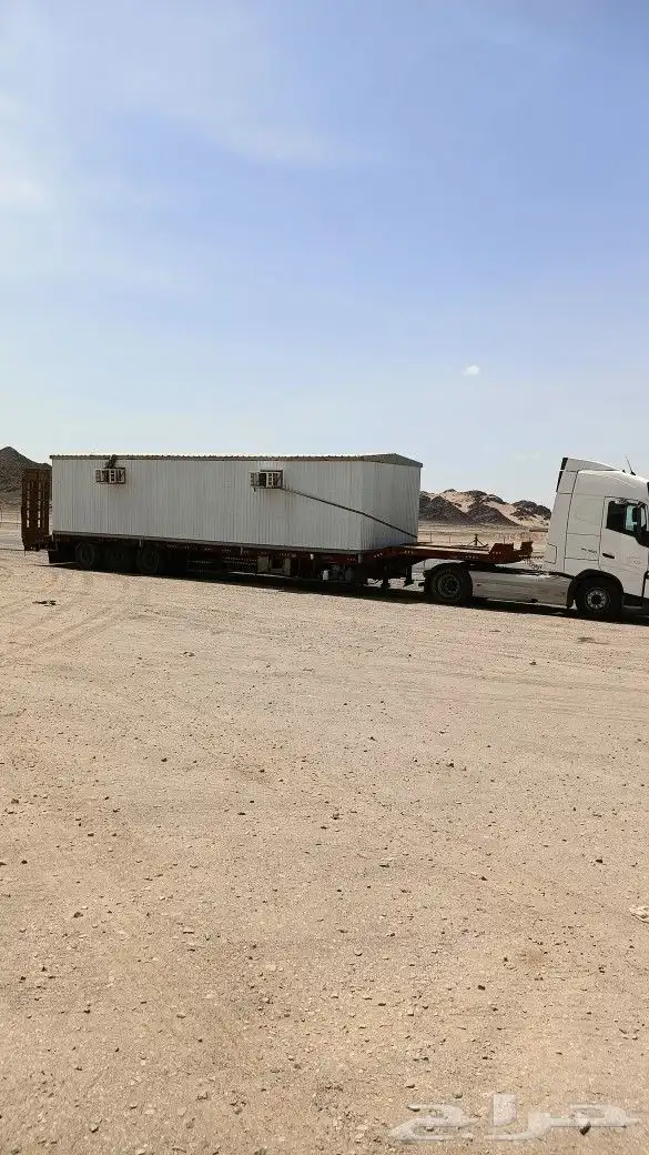 لوبد متوجد في القصيم 0