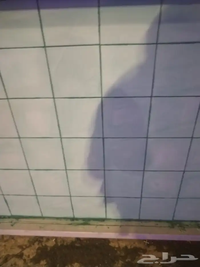 مبلط الباحه شبرا 2