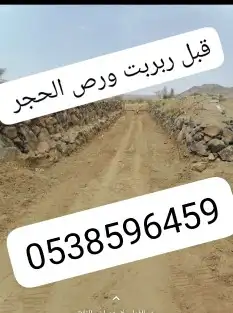 بنيان حجر ربراب تخريم ترحيل قص الاراضي وهدم المباني مقاولات 3