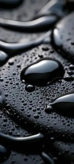 حل اختبار حاسب الي 0