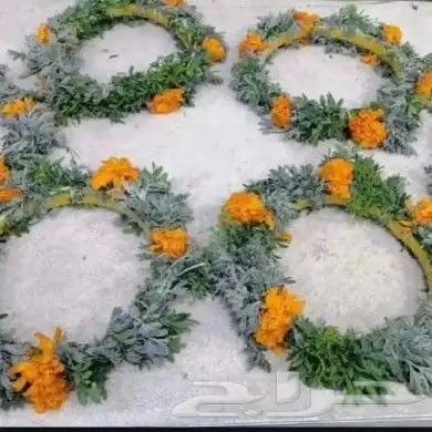 محل_فل_الفيصليه_الرياض 3