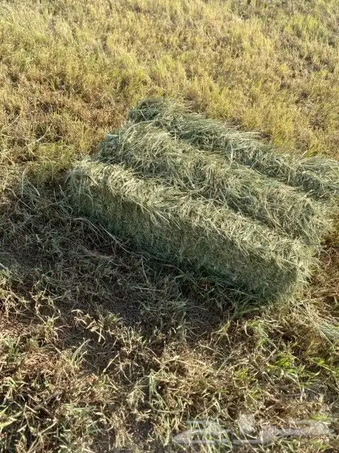 بللابنك 3