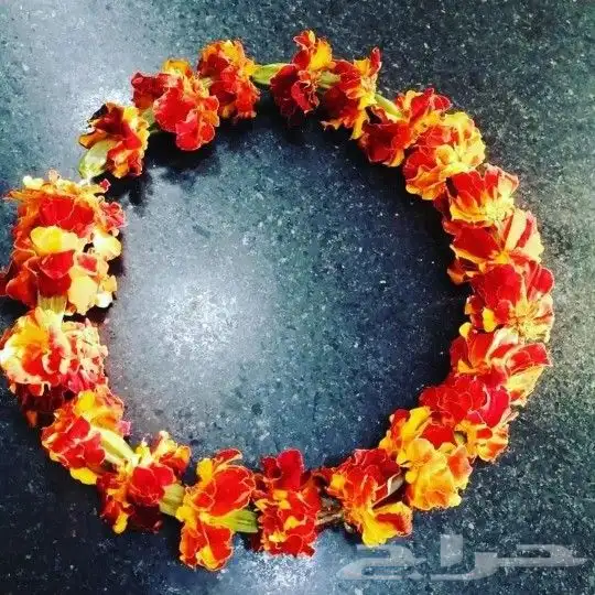 محل_فل_الفيصليه_الرياض 0