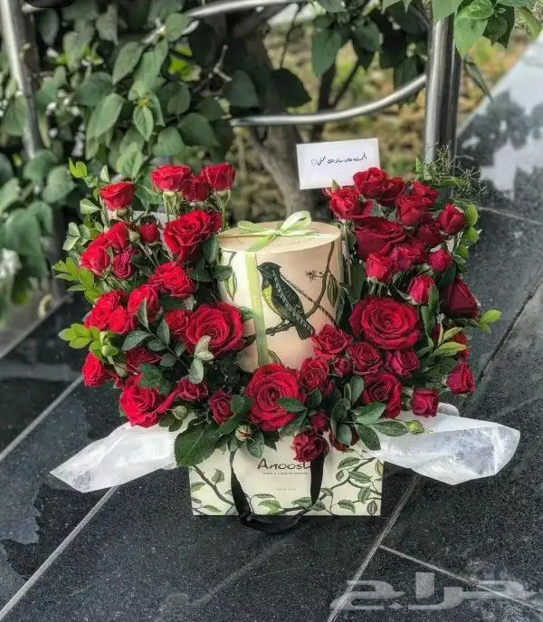 هدايا شتويه رجاليه هدايا ابها خميس مشيط احد رفيده الواديين 9