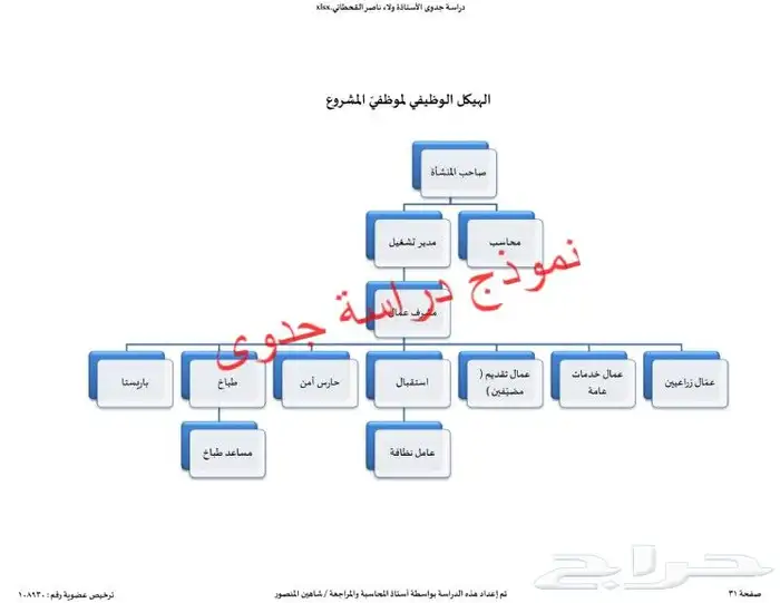 إستشاري أعمال تجارية لإعداد دراسات الجدوى والقوائم المالية 13