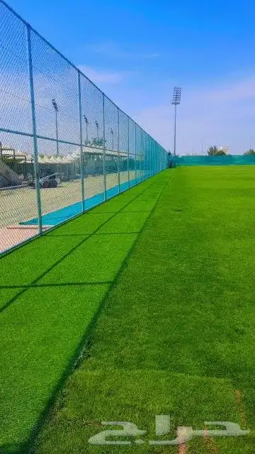 جميع الشبوك 3