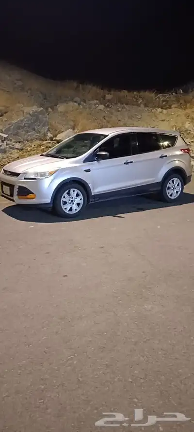 فورد اسكيب2014 0