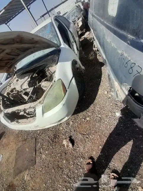 نسيان التيما 2014 الي 2020 3