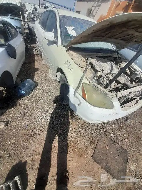 نسيان التيما 2014 الي 2020 0
