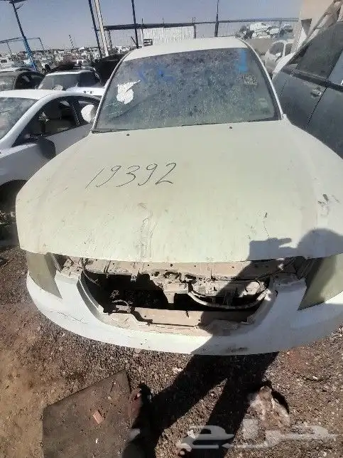 نسيان التيما 2014 الي 2020 1