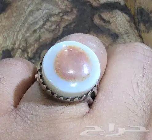 نوادر البقراني القديم 4