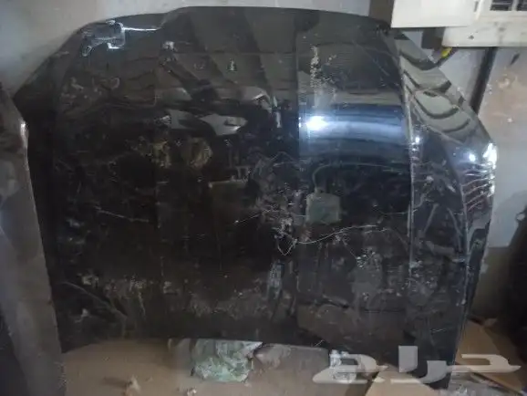 كبوت تورس 2023 _ 2024 اصلي 0