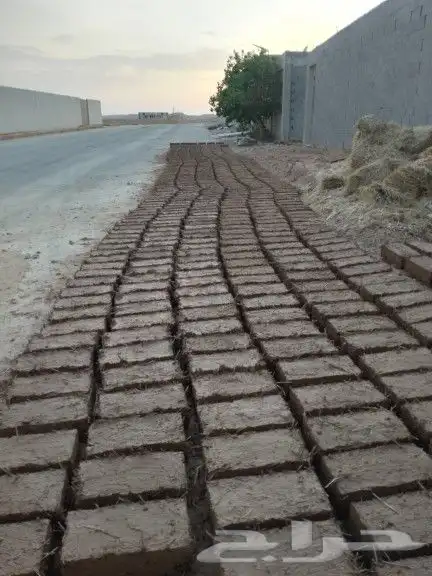 المقولات تراثية وترميم البيوت الطين القديم والسقوف باالخشب و 2