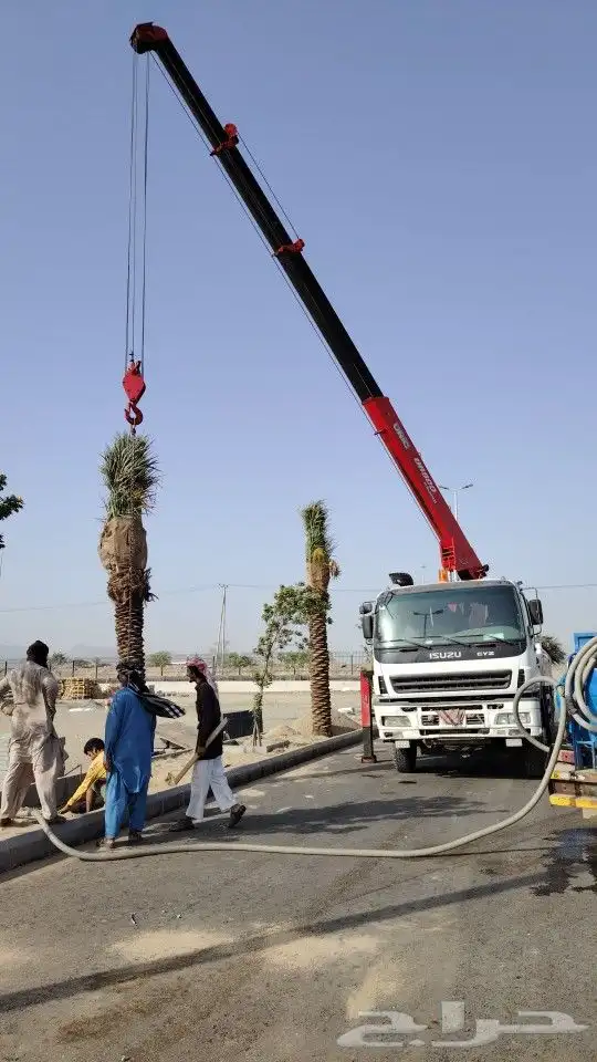 سطحة للإيجار او اليومية مشاوير املج البحر الأحمر 2