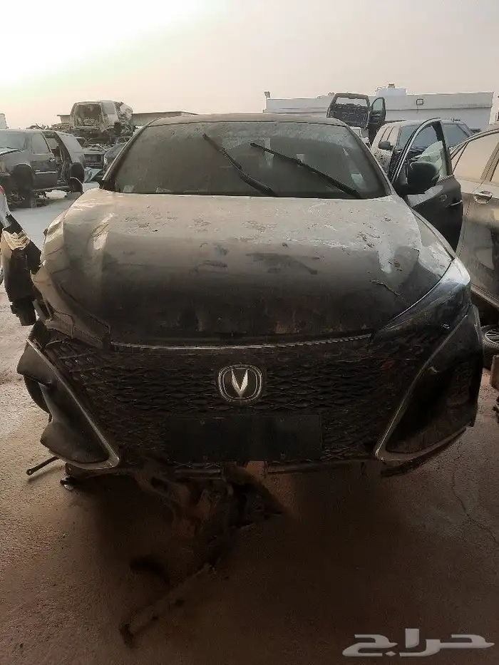 شانجان ايدو بلس 2023 3
