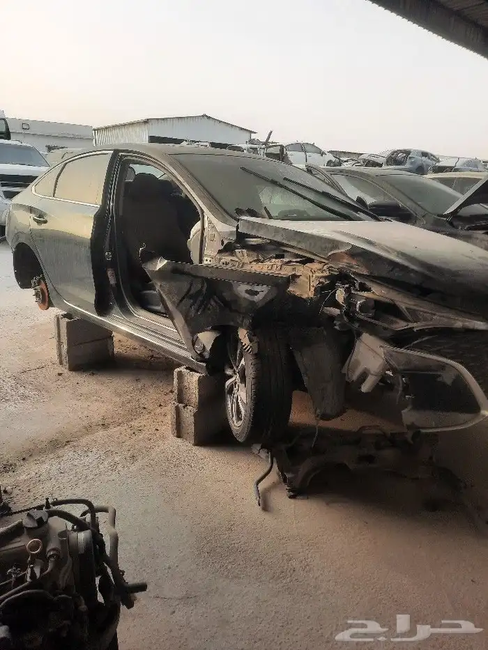 شانجان ايدو بلس 2023 1