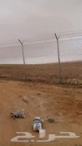 مقاول جميع انواع الشبك 6