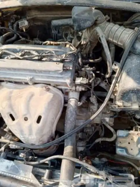 مكاين تويوتا كامري وهايلوكس 2010 0