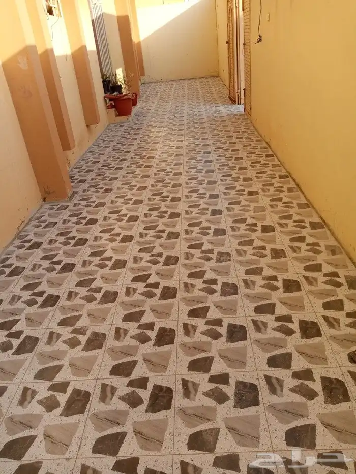 مبلط تبوك 2