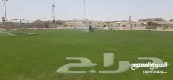 عشب طبيعي 15