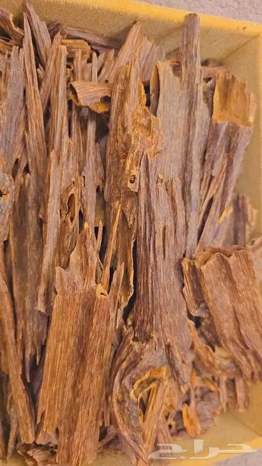 نص كيلو عود هندي طبيعي 1