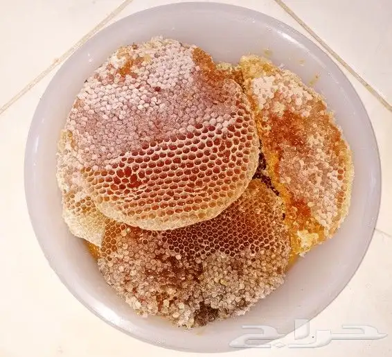 عسل سدرة شمع وصافي وطلحة صافي 0