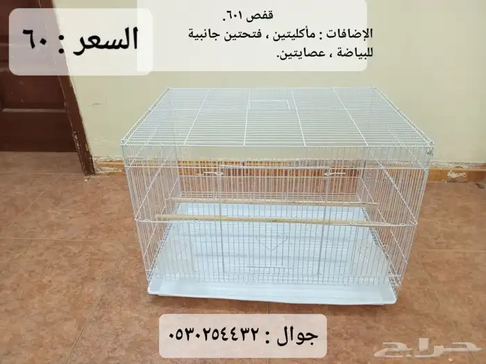 علف روز وكروان وبادجي (فيرسلاقا ) وجميع مستلزمات طيور الزينة 6