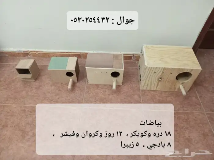 علف روز وكروان وبادجي (فيرسلاقا ) وجميع مستلزمات طيور الزينة 16