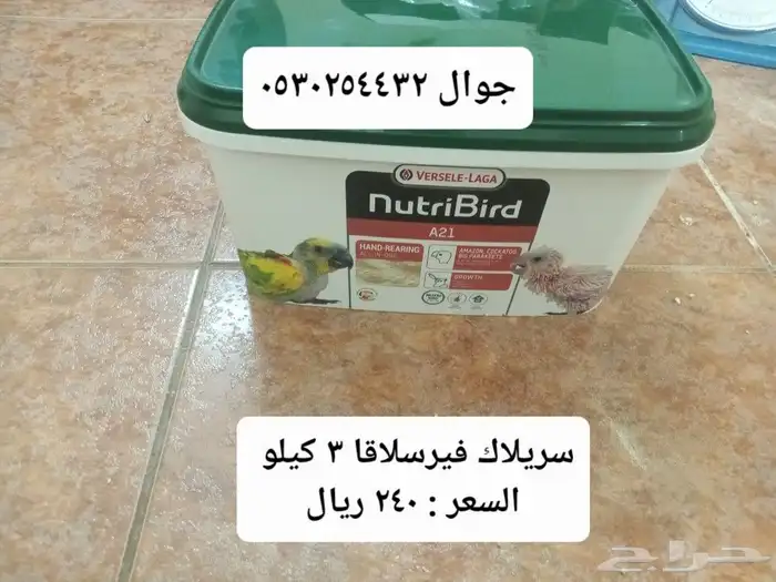 علف روز وكروان وبادجي (فيرسلاقا ) وجميع مستلزمات طيور الزينة 7