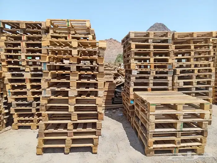 طبليات للبيع العدد مفتوح 3
