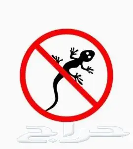 جل الوزغ الأصلي 2
