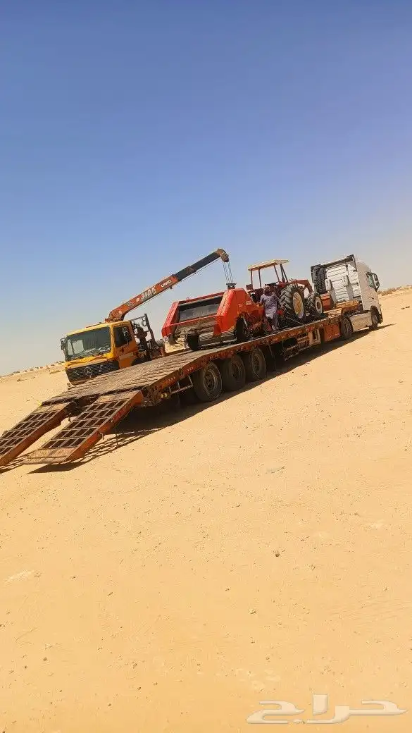 لوبد متوجد في طبرجل 0