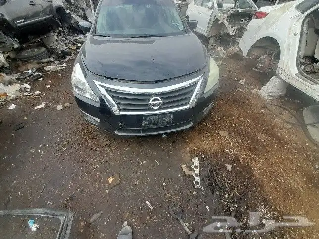 نسيان التيما 2005 الي 2019 3