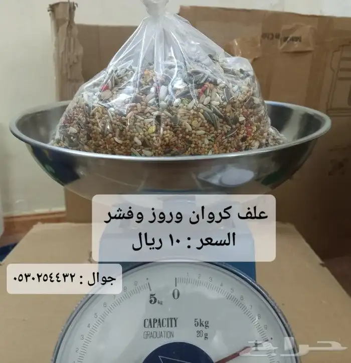 علف روز وكروان وبادجي (فيرسلاقا ) وجميع مستلزمات طيور الزينة 11