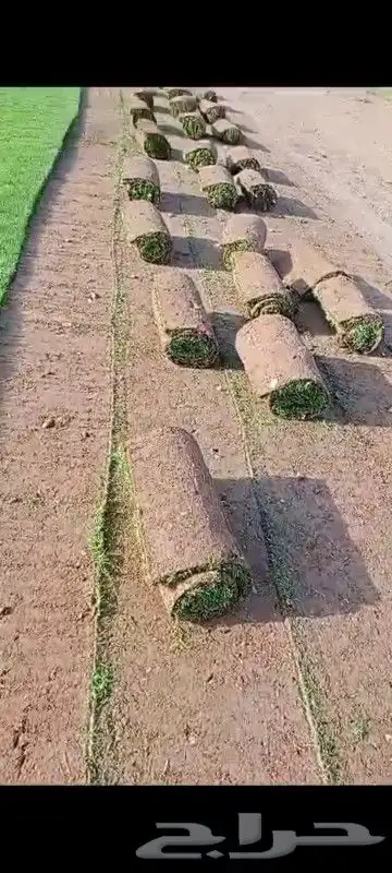 تيل طبيعي 7
