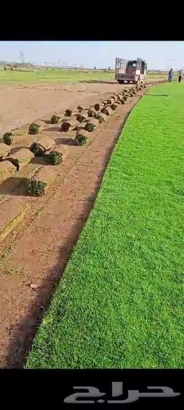 تيل طبيعي 0