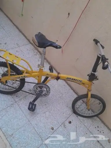 سايكل بيع 11