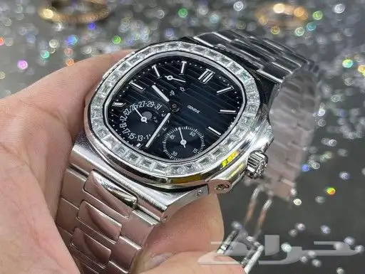 مجموعة اجنيف 13