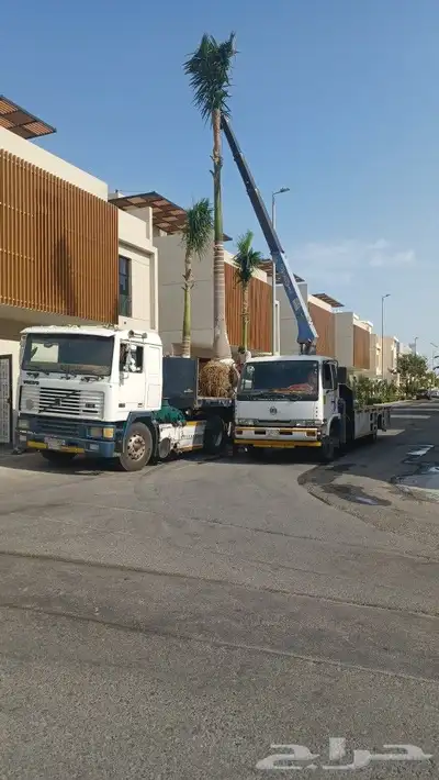 سطحه ونش للنقل والايجار جده الحمدانيه عسفان ابحر ذهبان 2