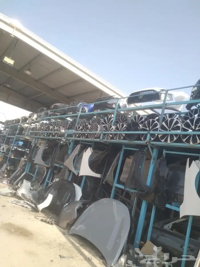 جنوط صيني امجي هفال شانجان جيلي 2022 3