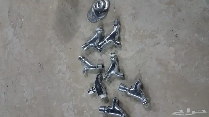 ولف براد ماء البيع كامل الحبة 10 ريال 1