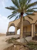 لتوريد النخل العربي والواشنطني والسياجات بجميع انواعها والحد 0