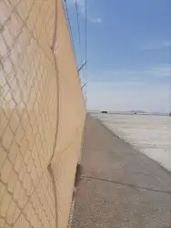 لتوريد النخل العربي والواشنطني والسياجات بجميع انواعها والحد 4