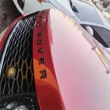 أخصائي دودة دركسيون 4