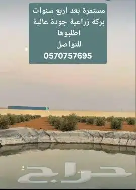 بلاستيك  احواض_زراعية  اسماك بيوت_محمية ليات_زراعية 8