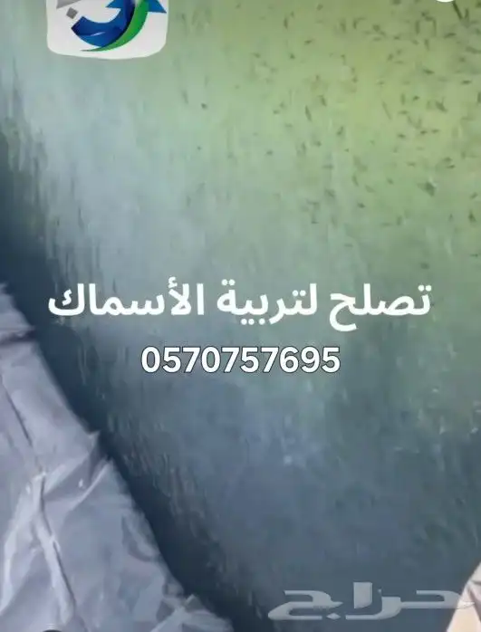 بلاستيك  احواض_زراعية  اسماك بيوت_محمية ليات_زراعية 5