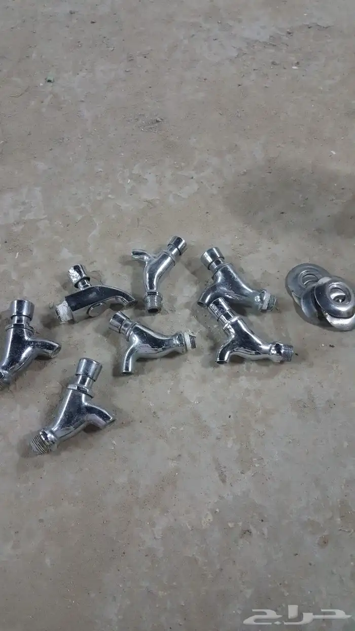ولف براد ماء البيع كامل الحبة 10 ريال 0