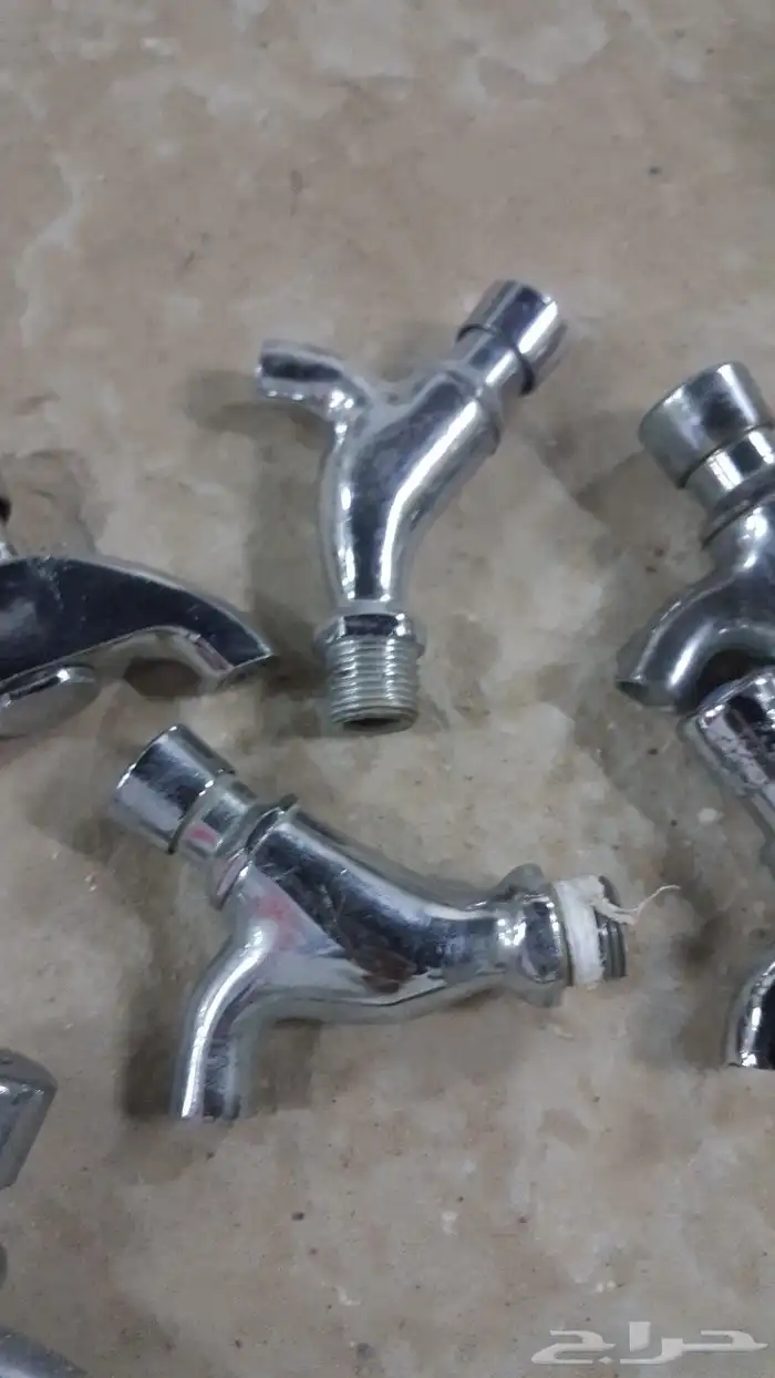 ولف براد ماء البيع كامل الحبة 10 ريال 2