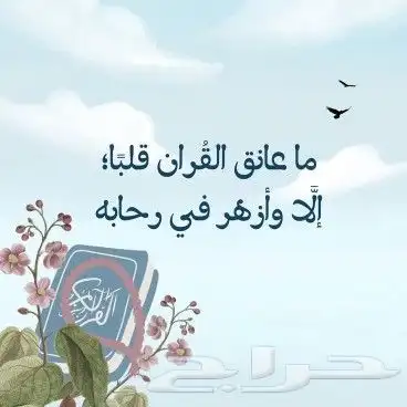 قران كريم بالتجويد اونلاين وحضورى 0