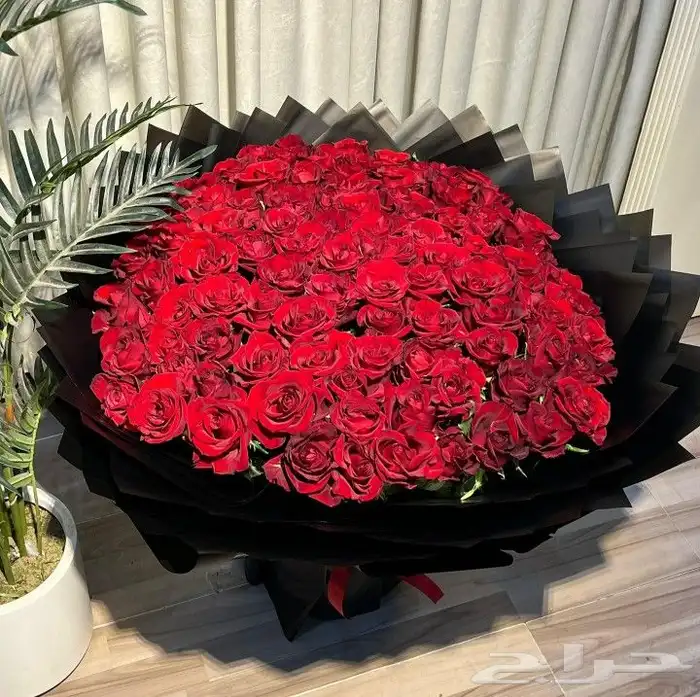 ورد احمر حسب الطلب كيك. كوفي باتشي بستاني سلاسل توصيل 6